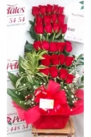 flor-floristeria-petalos-n095-nos-hemos-enterado-de-la-gran-noticia-que-se-ha-convertido-en-un-acontecimiento-sin-igual-celebremos-la-llegada-del-nuevo-miembro-de-la-familia-much-flor-floristeria-petalos