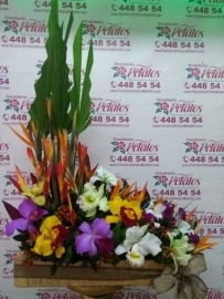 flor-floristeria-petalos-n112-la-vida-es-una-oportunidad-aprovechala-la-vida-es-belleza-admirala-la-vida-es-bienaventuranza-saboreala-la-vida-es-un-sueno-hazlo-realidad-un-flor-floristeria-petalos