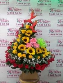 flor-floristeria-petalos-n048-con-mucho-carino-para-una-linda-pareja-en-el-dia-de-su-matrimonio-un-brindis-de-felicidad-por-su-amor-y-su-futuro-felicidades-flor-floristeria-petalos