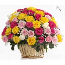 flor-floristeria-petalos-n135-i-vida-no-tenia-sentido-hasta-que-llegaste-tu-el-amor-que-me-da-todas-las-fuerzas-que-necesito-para-poder-seguir-adelante-te-amo-mi-amor-mas-que-a-n-flor-floristeria-petalos